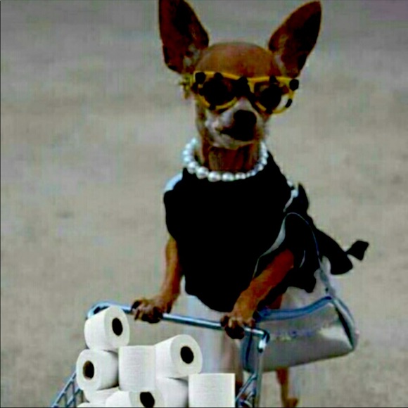 pooches Accessories - STOCK UP & MAKE AN OFFER 🎁